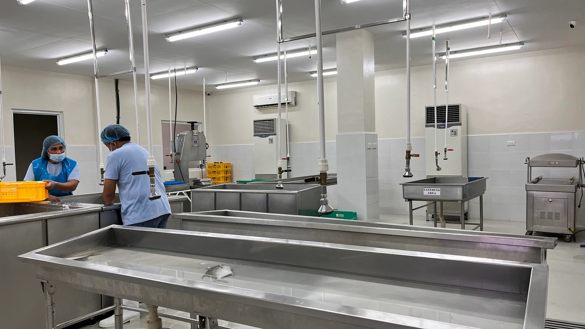 KAI ANYA — processing area view.